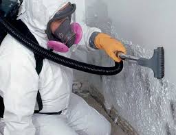 Mold Remediation for Rental Properties in Rifle, CO